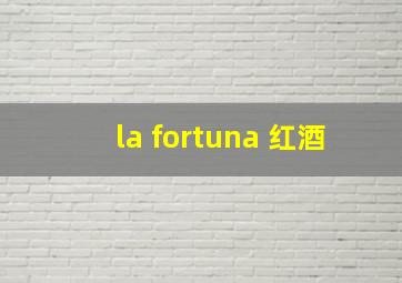 la fortuna 红酒